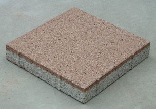 生態(tài)透水磚 盲道止步磚 道路用磚 公園用磚